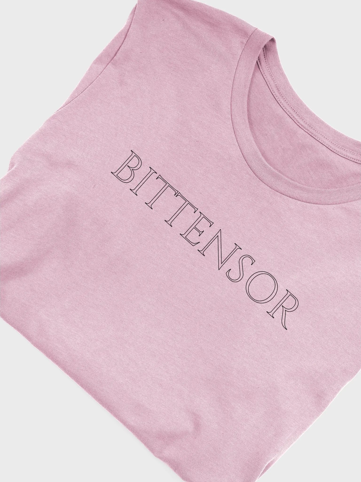 BITTENSOR product image (1)