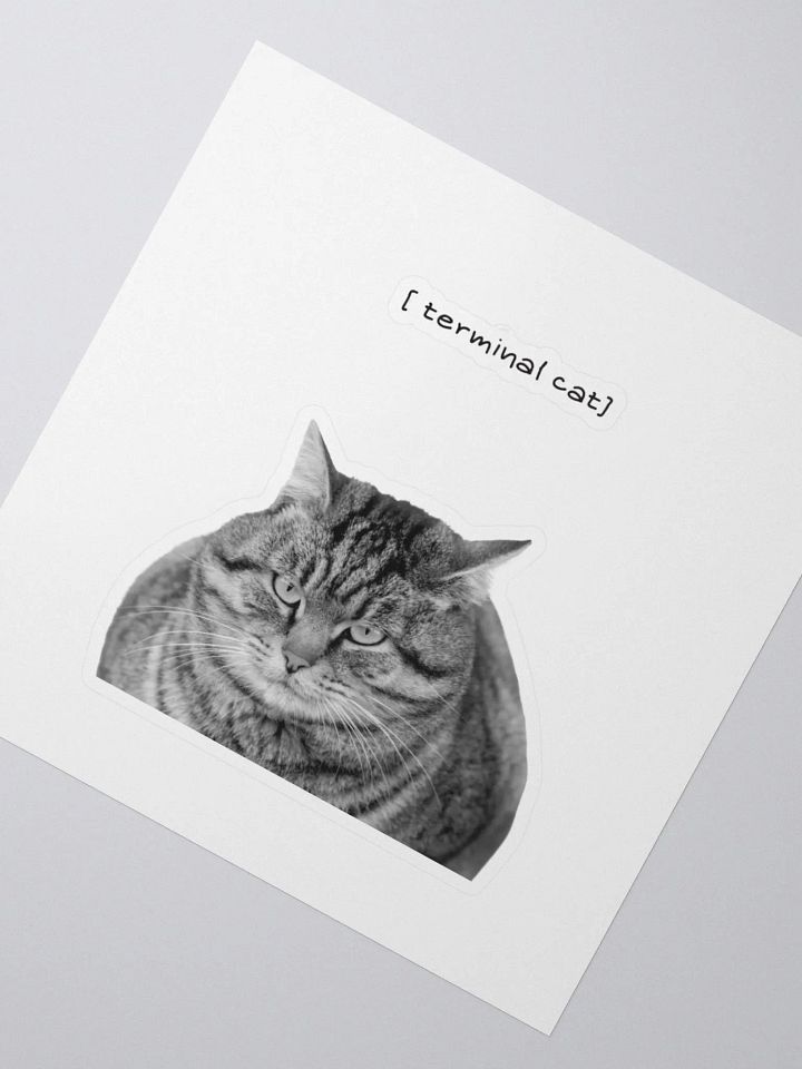 Terminal cat product image (2)