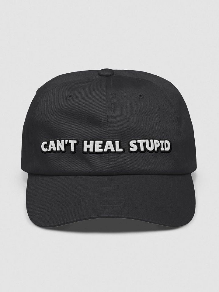 Can't Heal Stupid product image (1)