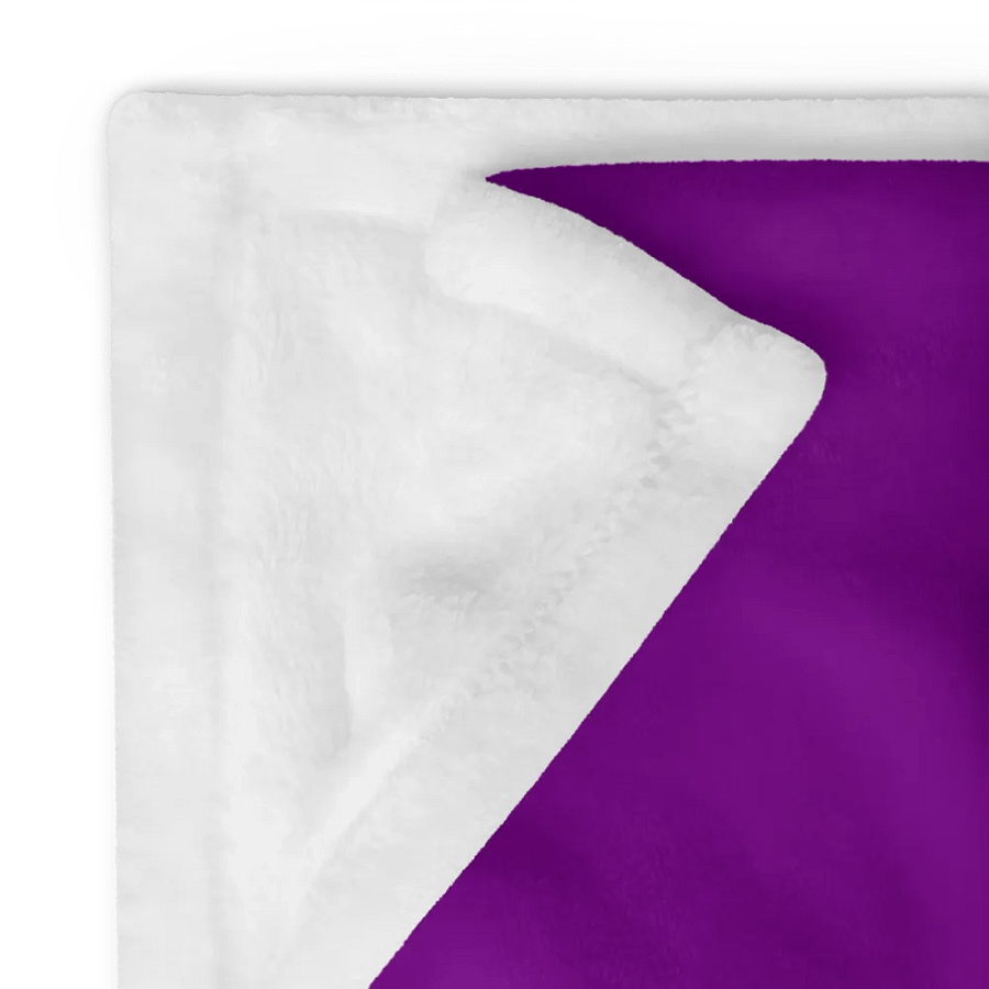 Rainbow Pride Fox Blanket (2023) product image (10)