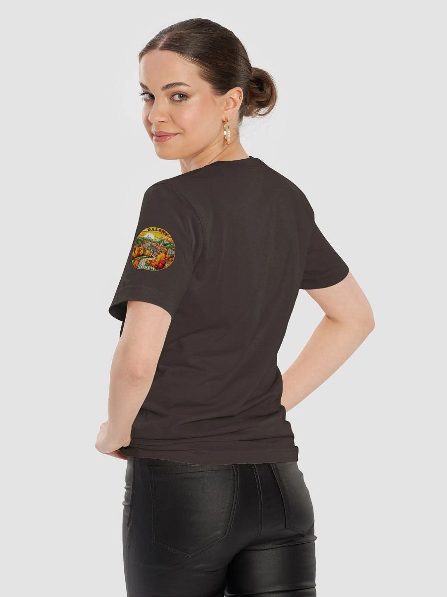 Galena Illinois Autumn Vibes Tee product image (9)