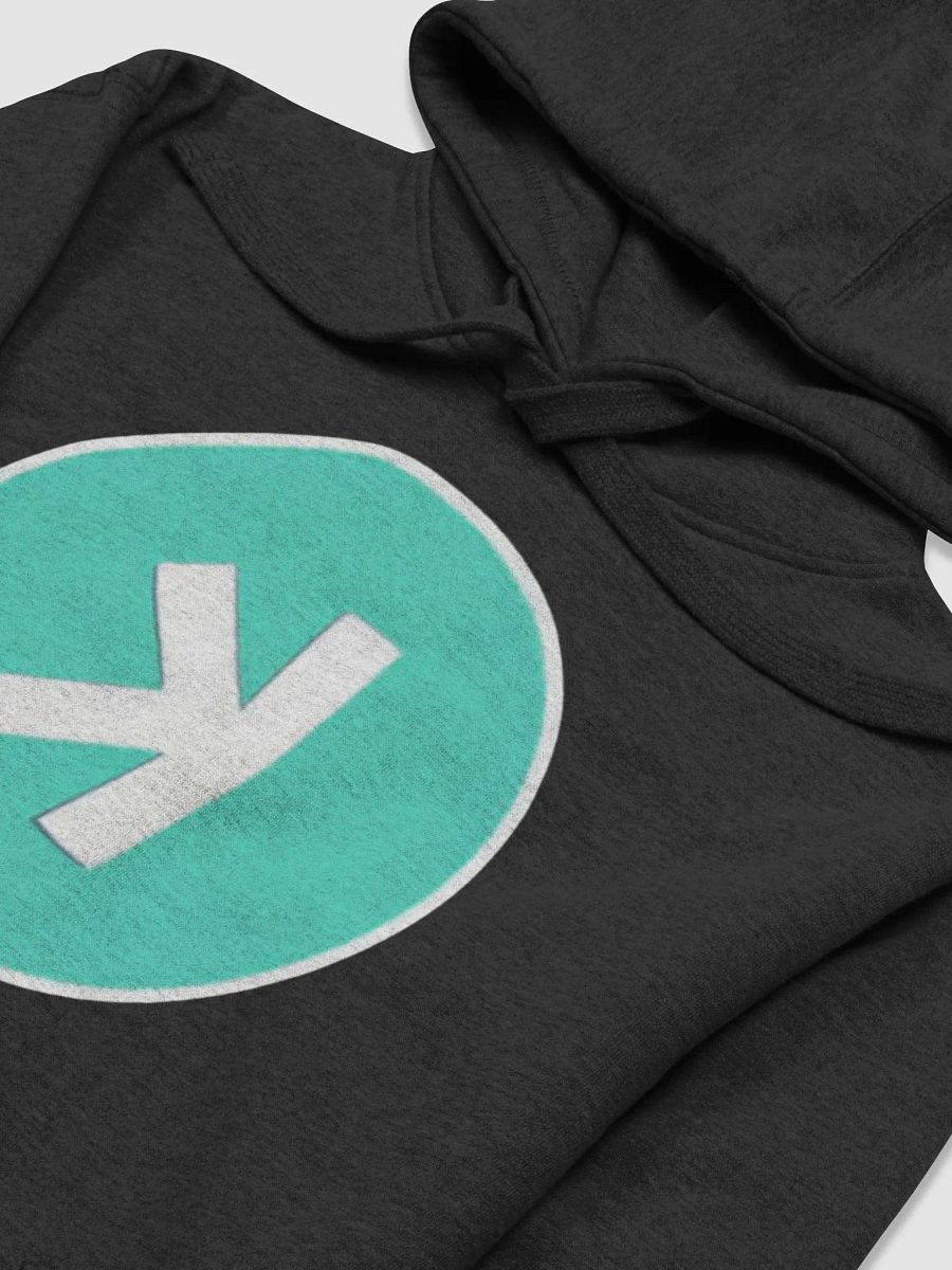 KASPA Hoodie (Unisex) product image (3)
