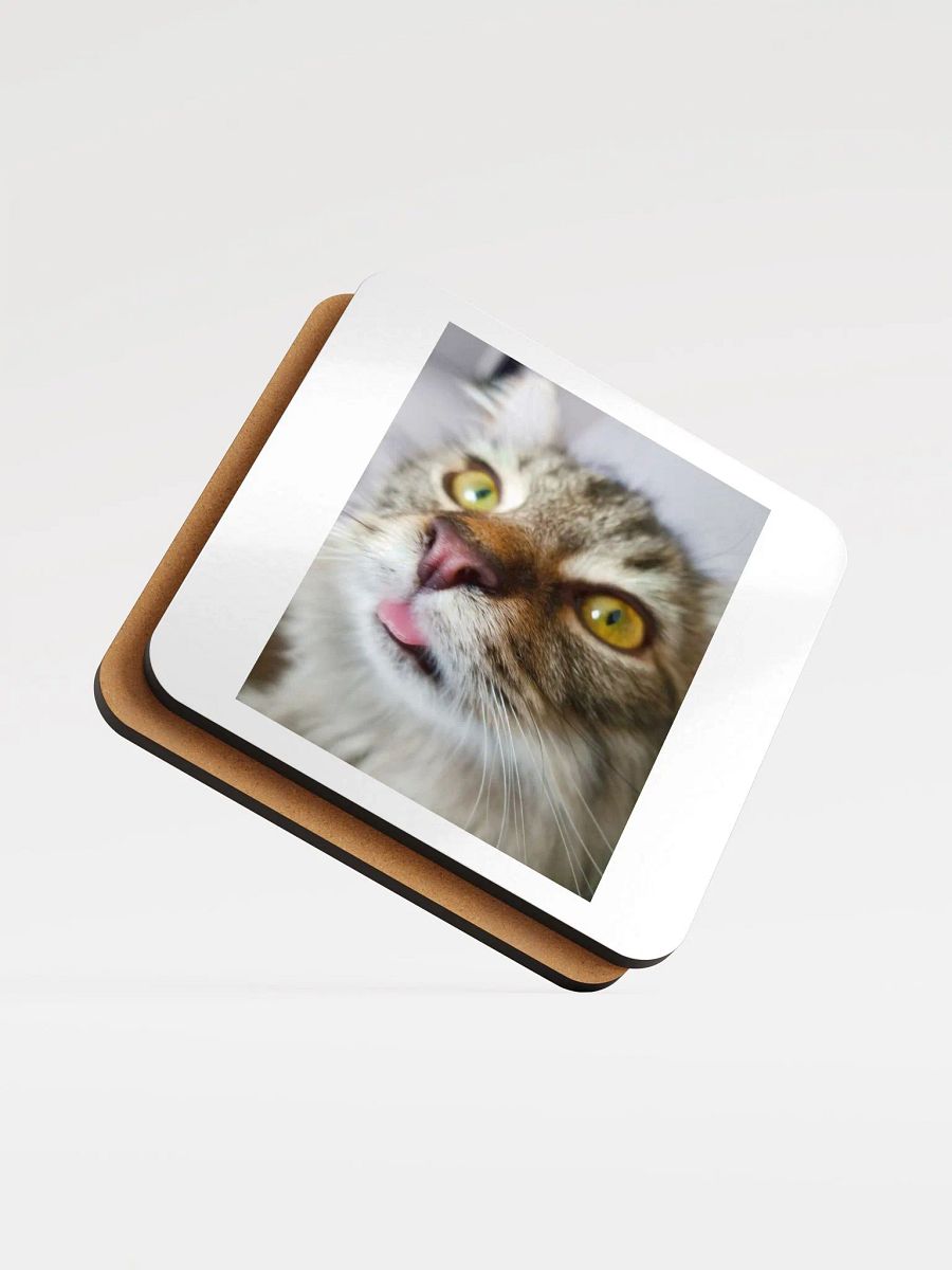 FidgGOON Coaster product image (5)