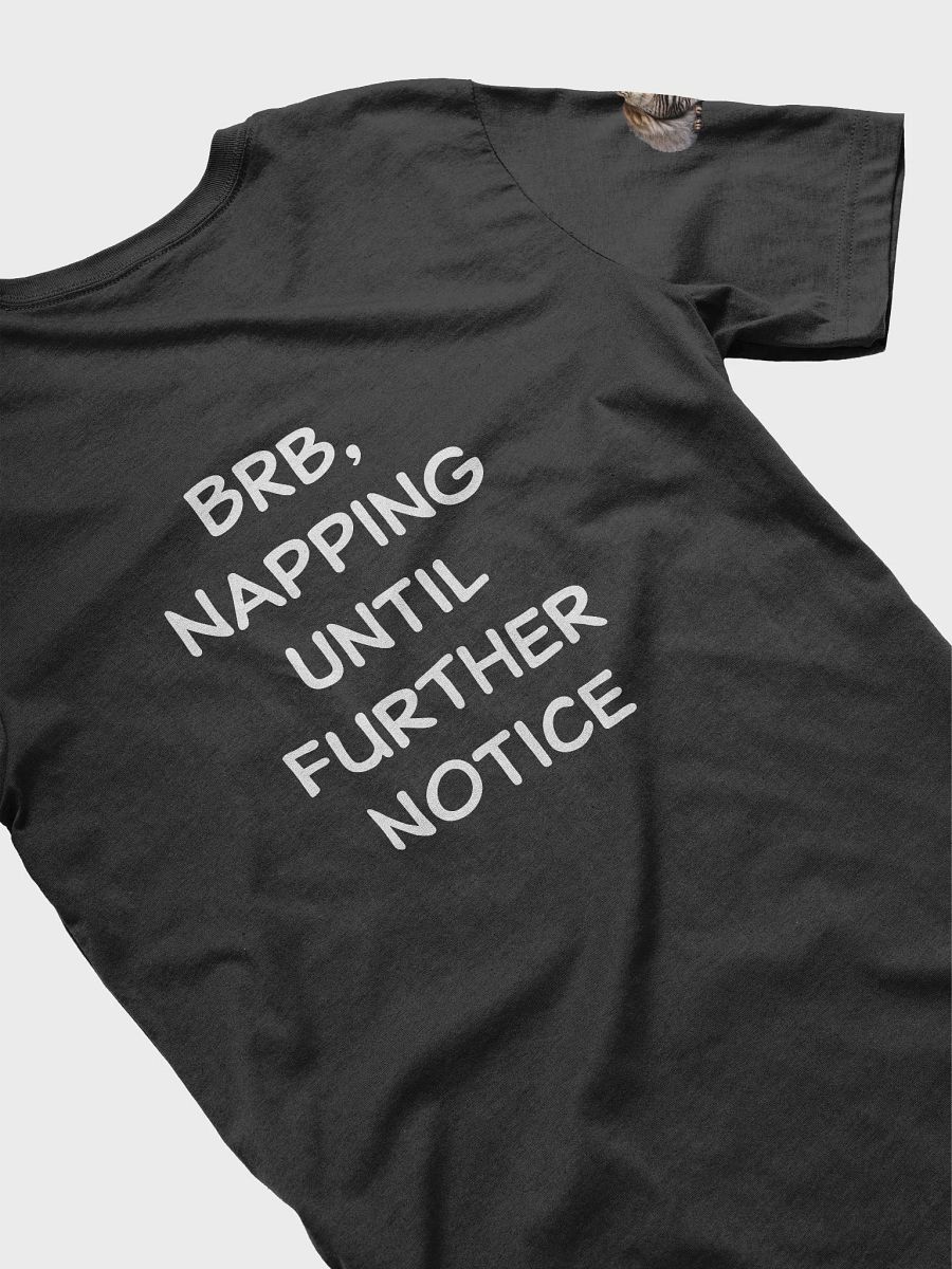 Show Your Love for Cats with This Purrfect T-Shirt product image (4)