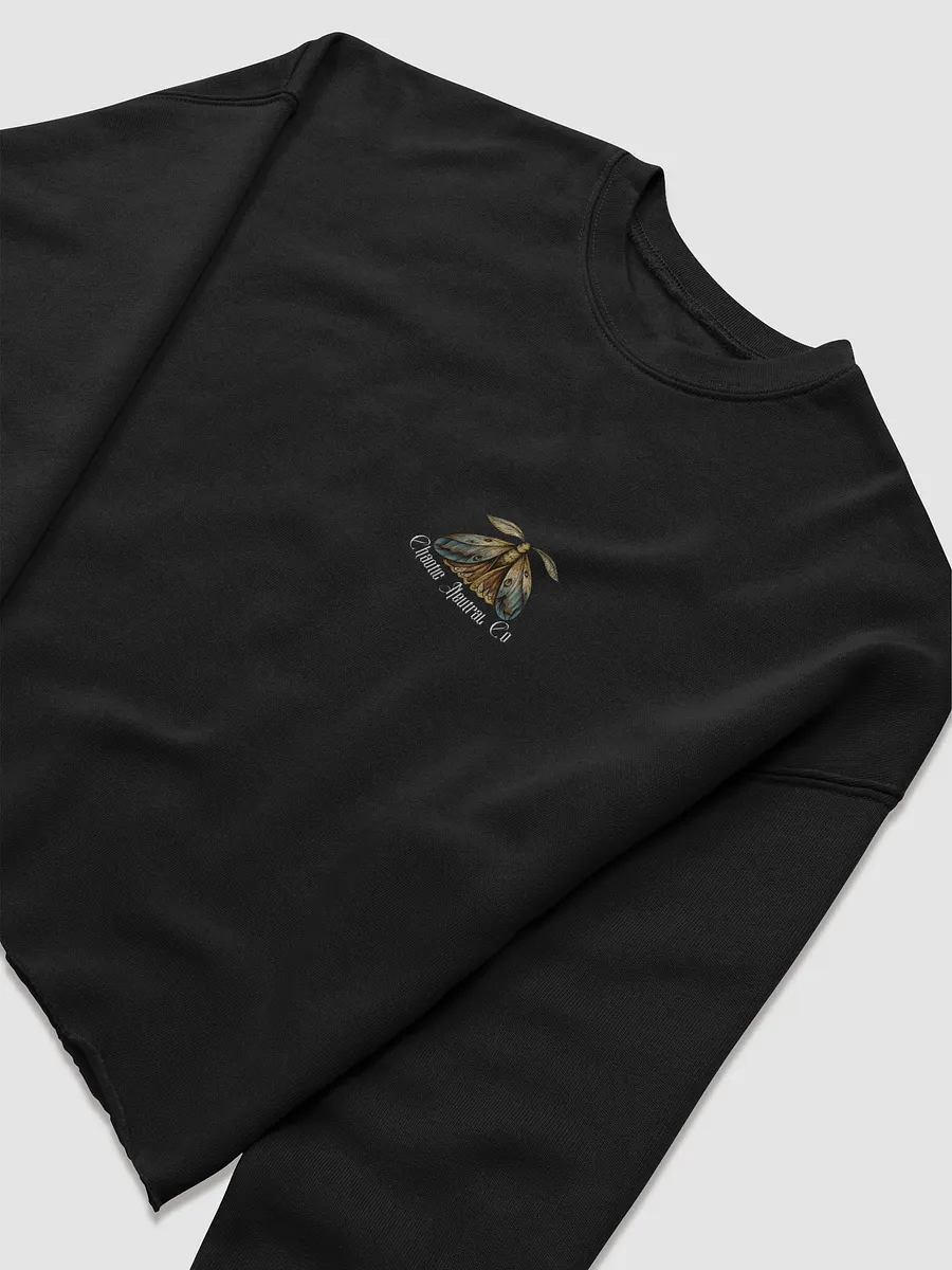 Rebirth Cropped Sweat (Blanc Script) product image (6)