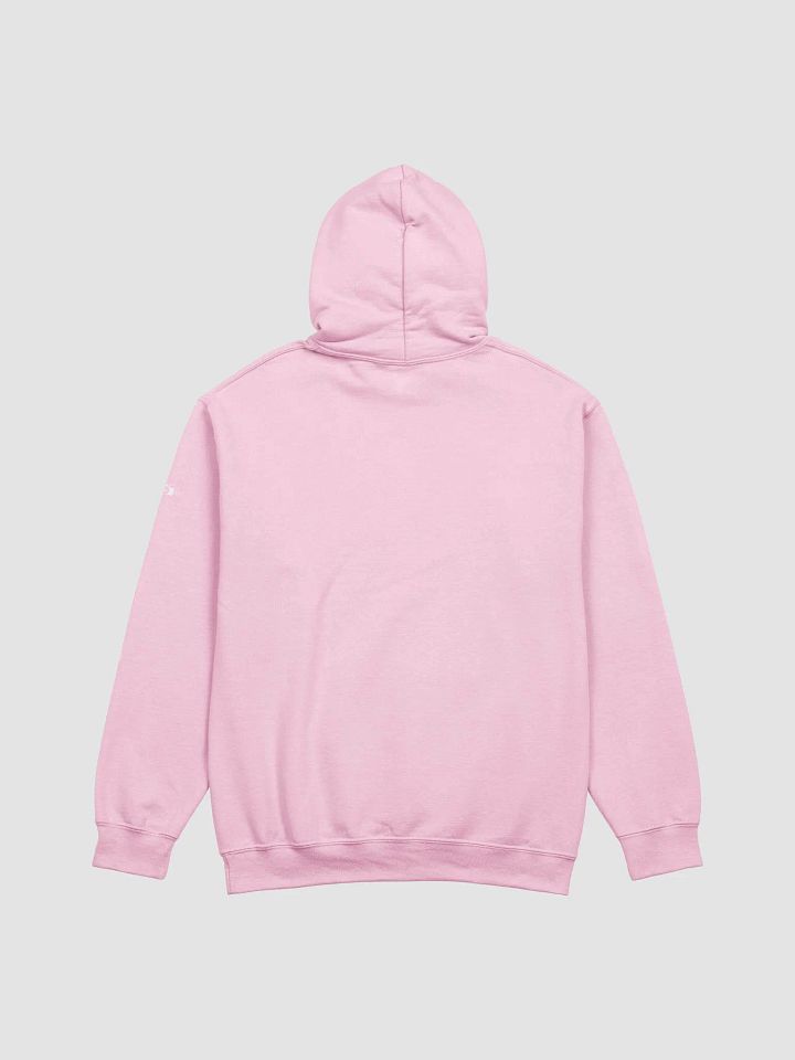 Golden Gate Park Raccoons Classic Hoodie product image (2)