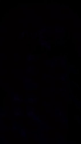 4 year affiliate anniversary, Sunday 4.20 1pm PST , Hope to see you there! #chibisaurus #dinoden #twitchstreamer