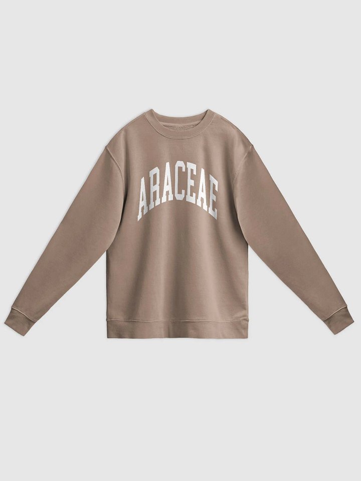 ARACEAE VARSITY - Midweight Pigment Dyed Sweatshirt product image (5)