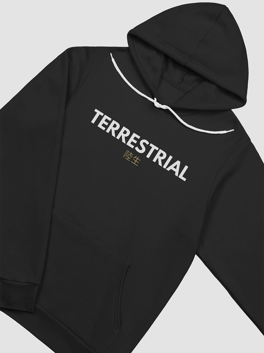 Terrestrial Logo Hoodie product image (7)