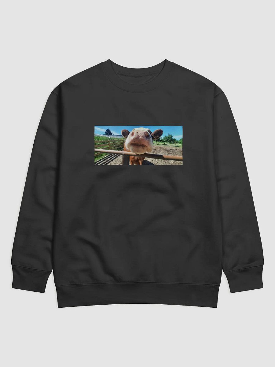 COWl neck product image (1)