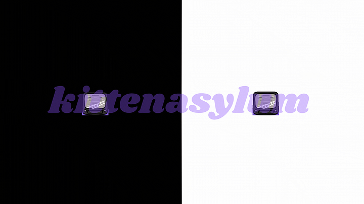 Samara from "The Ring" 🔥 - Animated Emote product image (1)