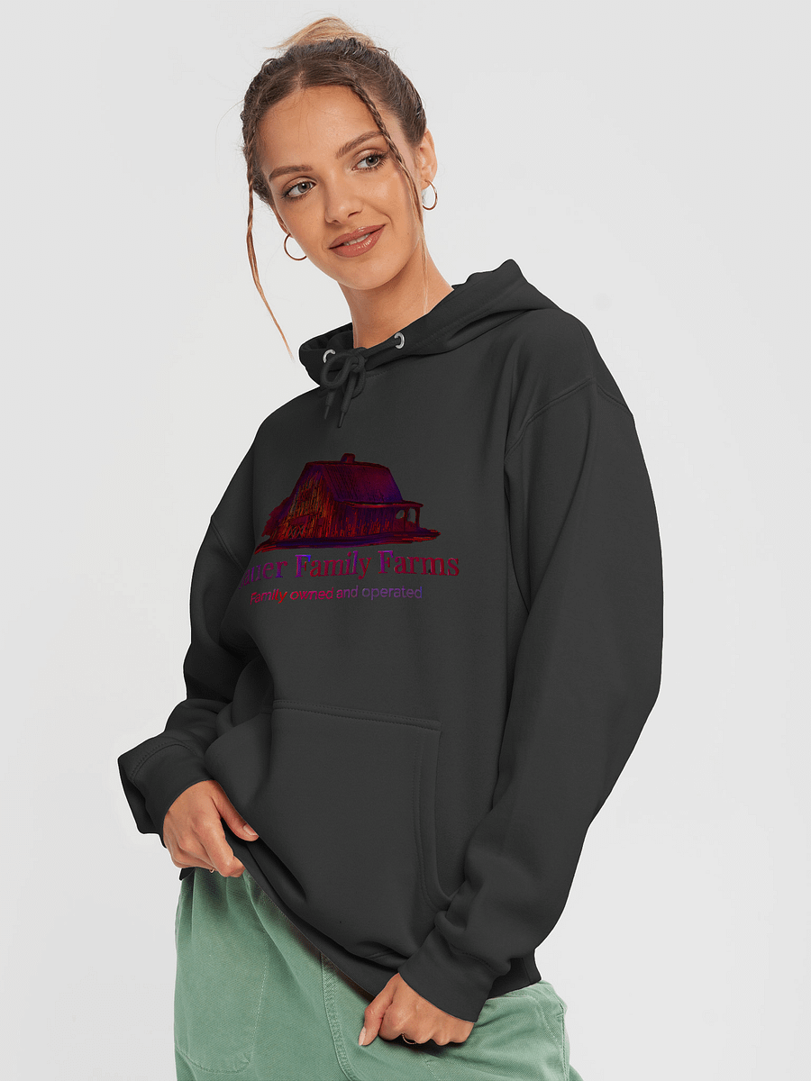 Bauer Family Farms Barn Illustration Premium Hoodie product image (3)