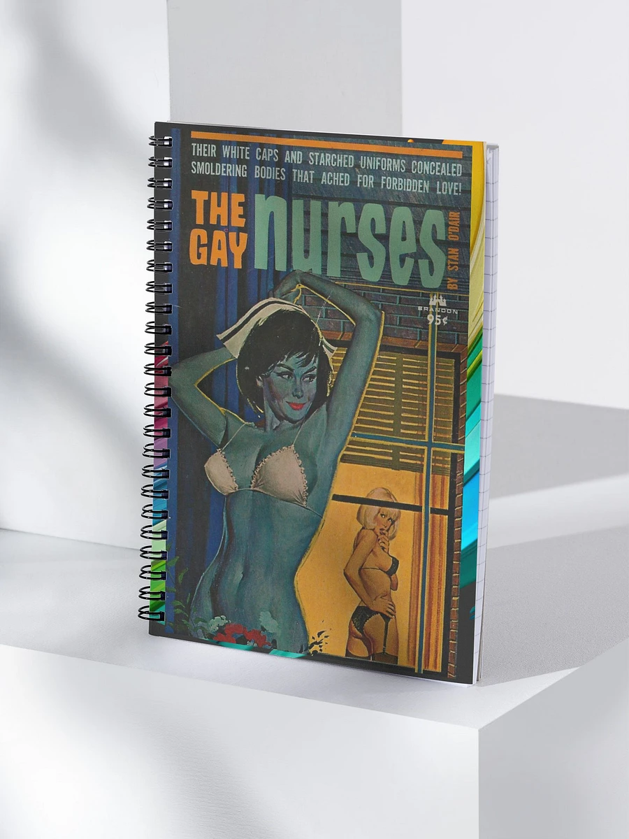 LGBTQ+ Nurses Notebook product image (4)