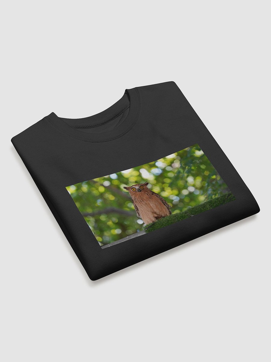 Mystic Owl Premium Sweatshirt product image (3)