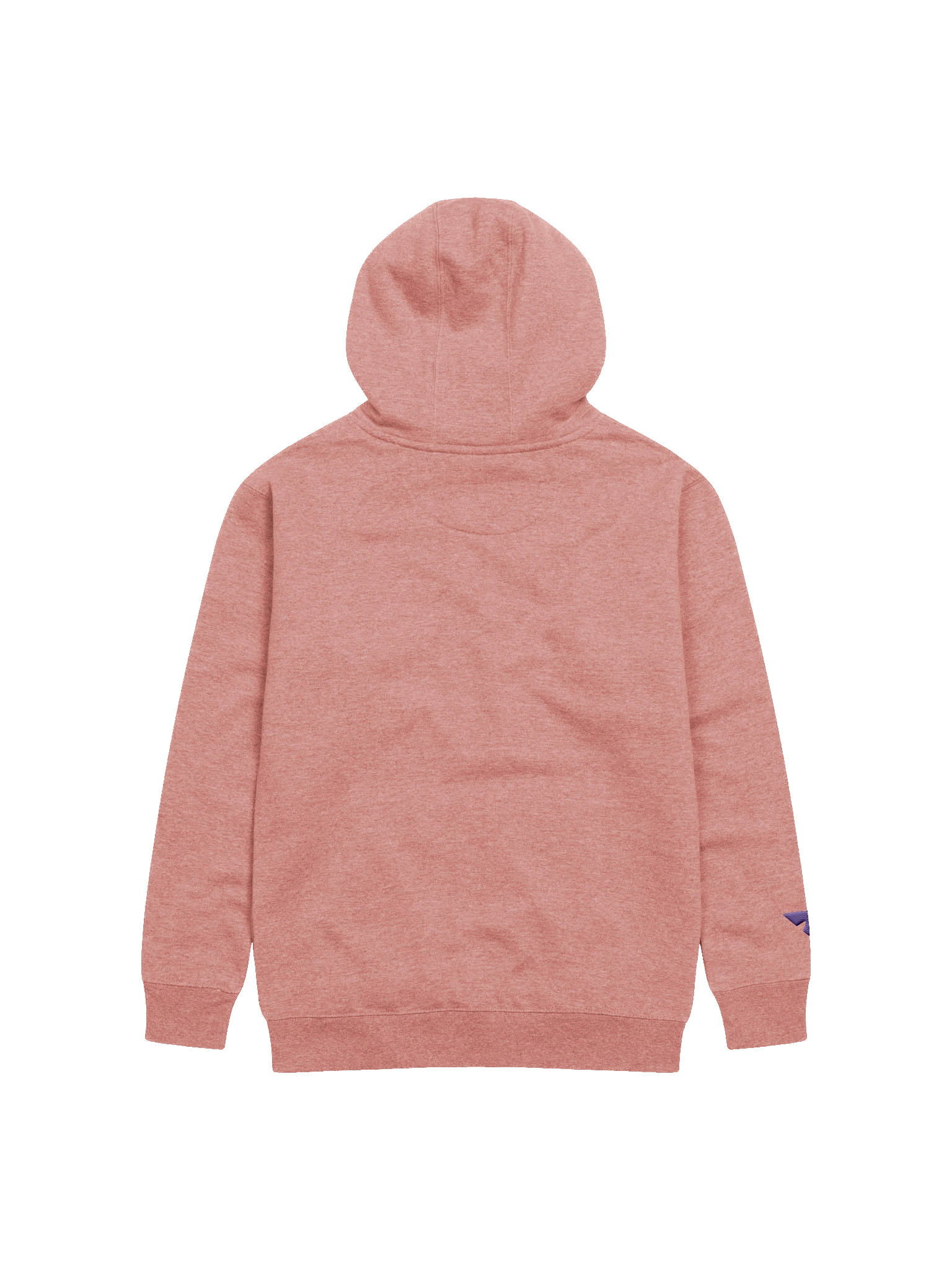Isopod Embroidered Hoodie product image (22)