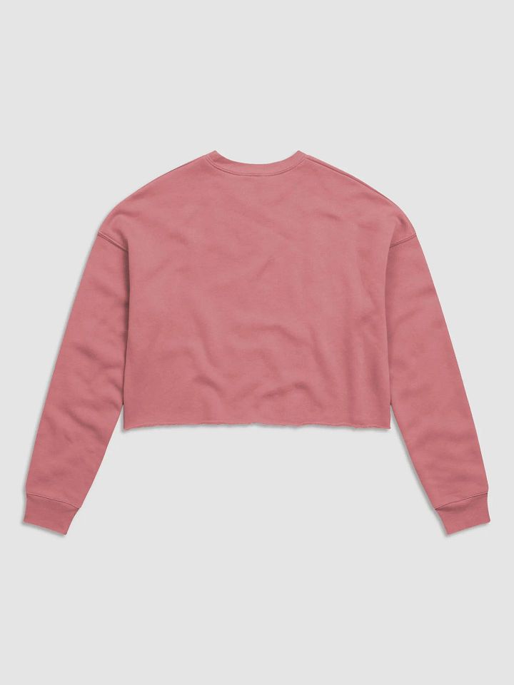 HeroUI Pink Hoddie product image (2)