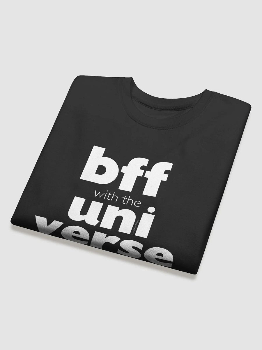 'BFF with the Universe' Premium Sweatshirt product image (3)
