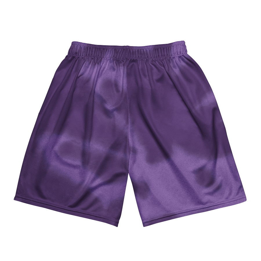EcoMesh Performance Shorts product image (5)