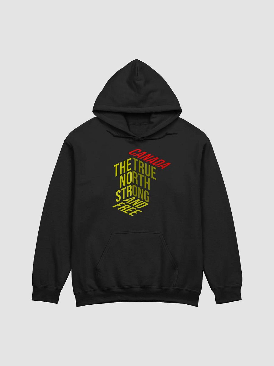 True North Perspective Hoodie product image (2)