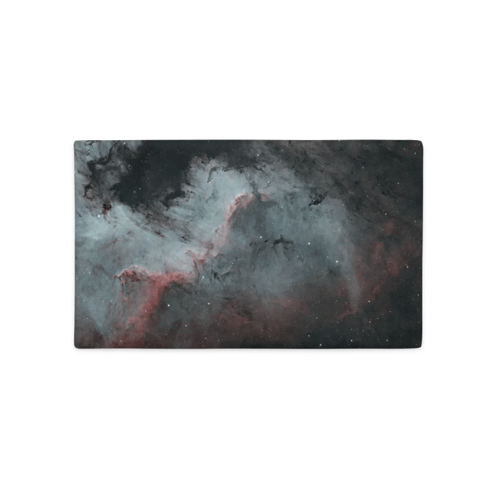 LE COUSSIN DE L'AMERICA product image (2)