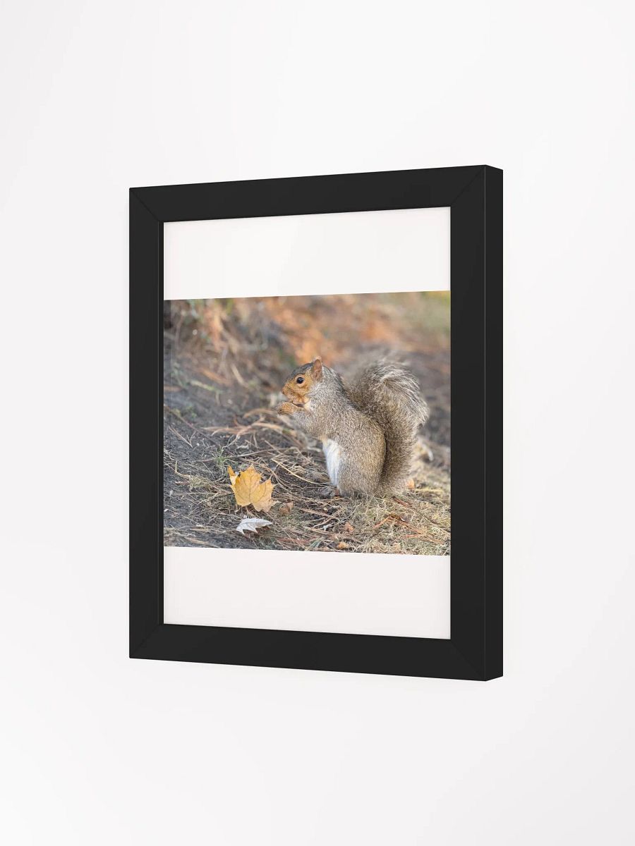Squirrel print product image (62)