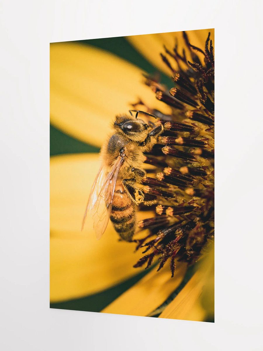 Busy Beeziness product image (3)