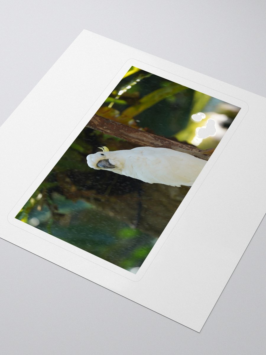 Crested Parrot Kiss Cut Stickers product image (3)
