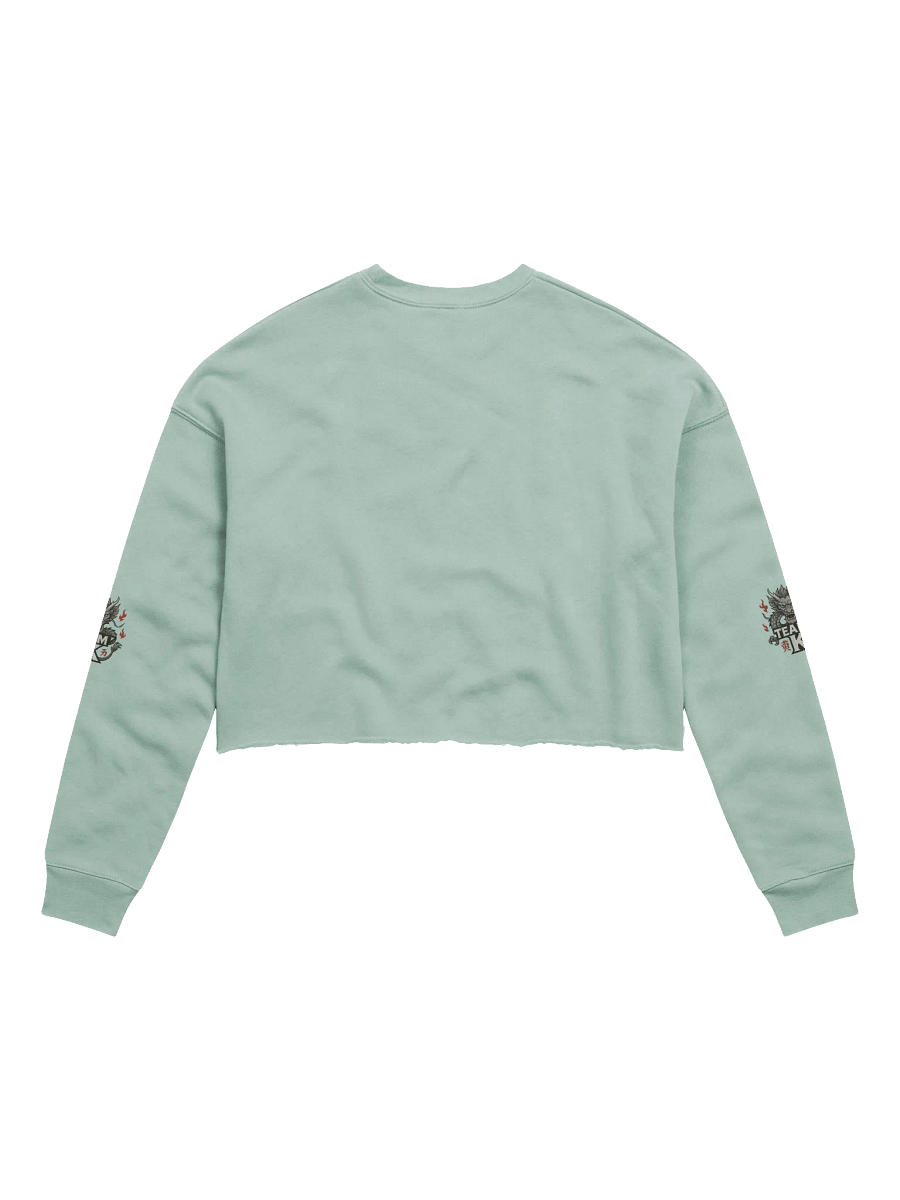 Team K China Crop Sweatshirt product image (5)