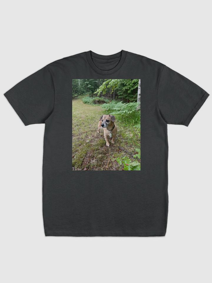 Rocky Tee product image (1)