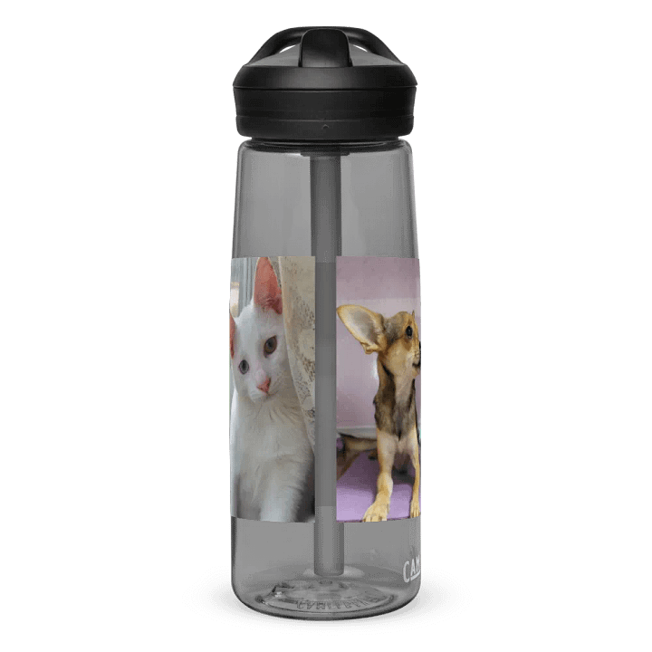 All The Pets Bottle! product image (2)