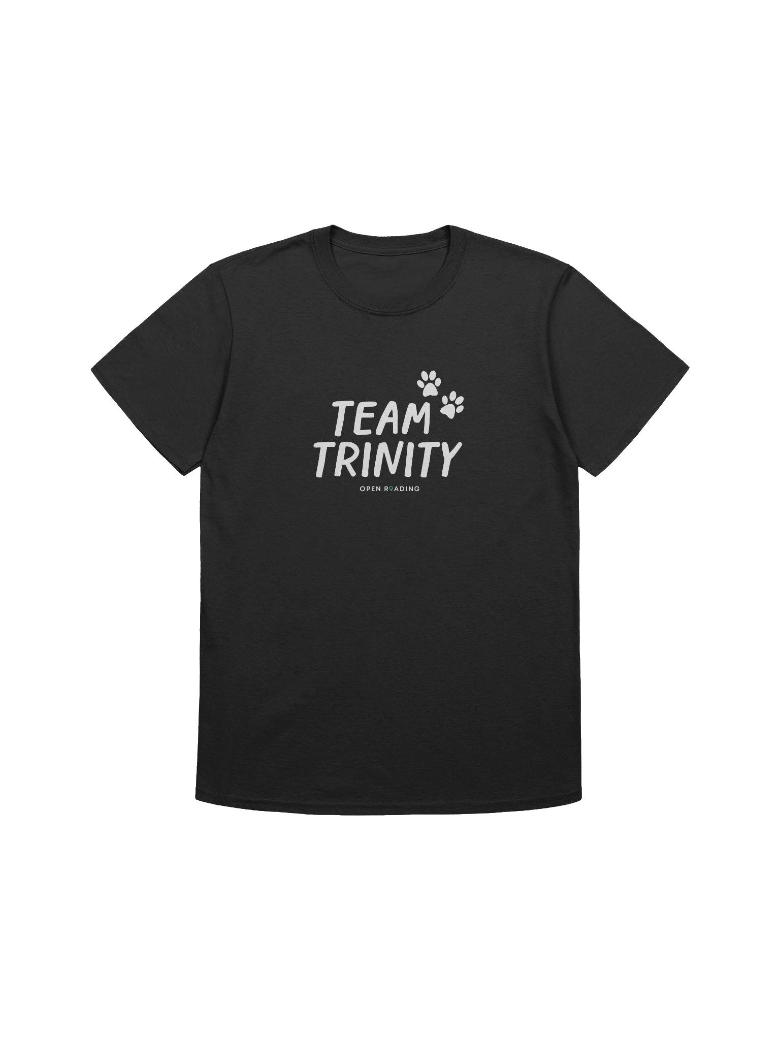 Team Trinity Adult-Sized Tee product image (1)