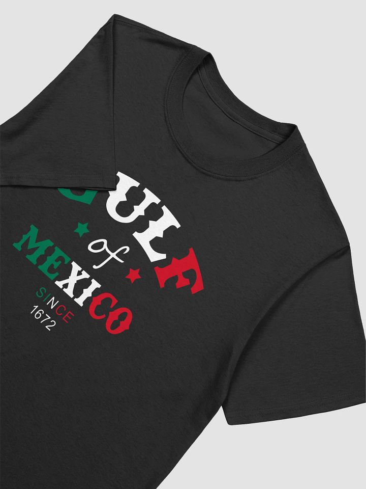Gulf Of Mexico T-shirt product image (2)