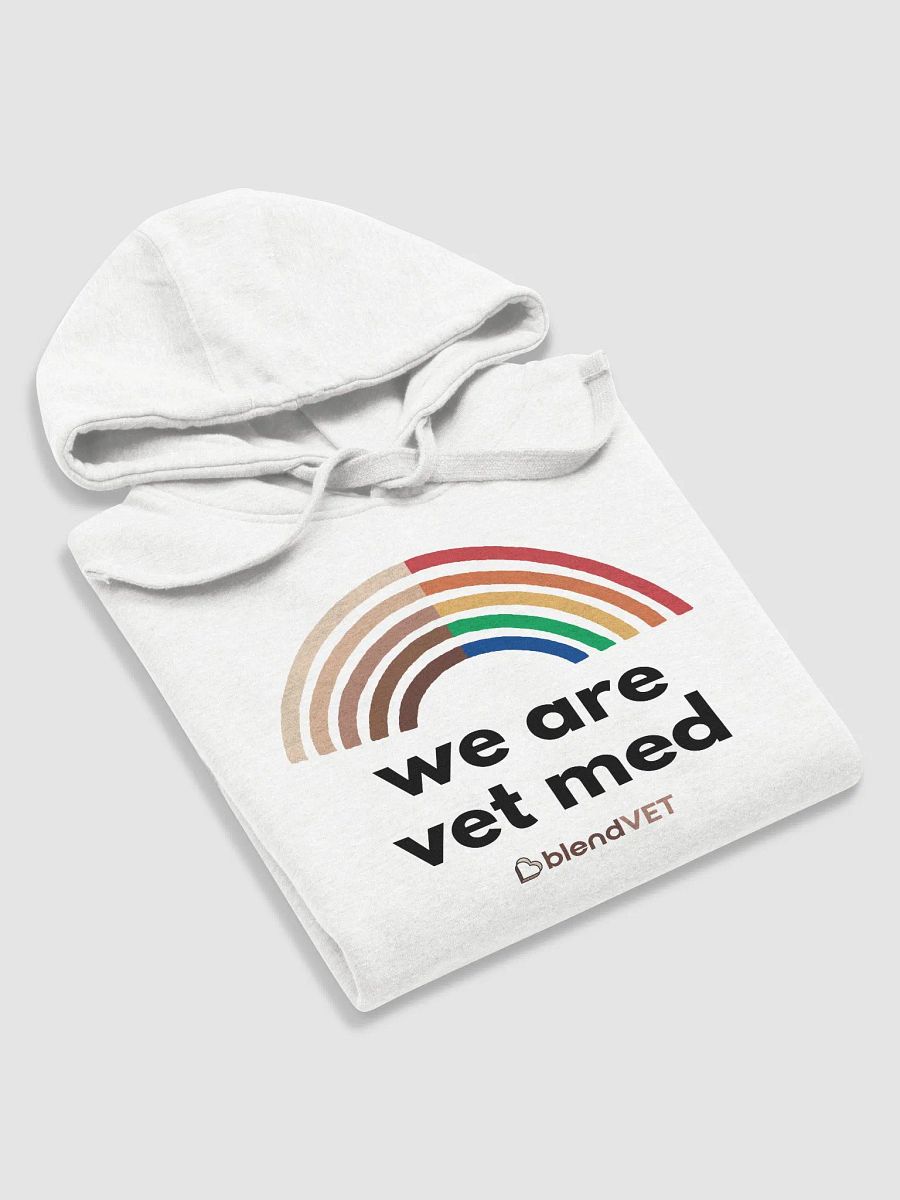 Pride - We Are Vet Med Hoodie product image (6)