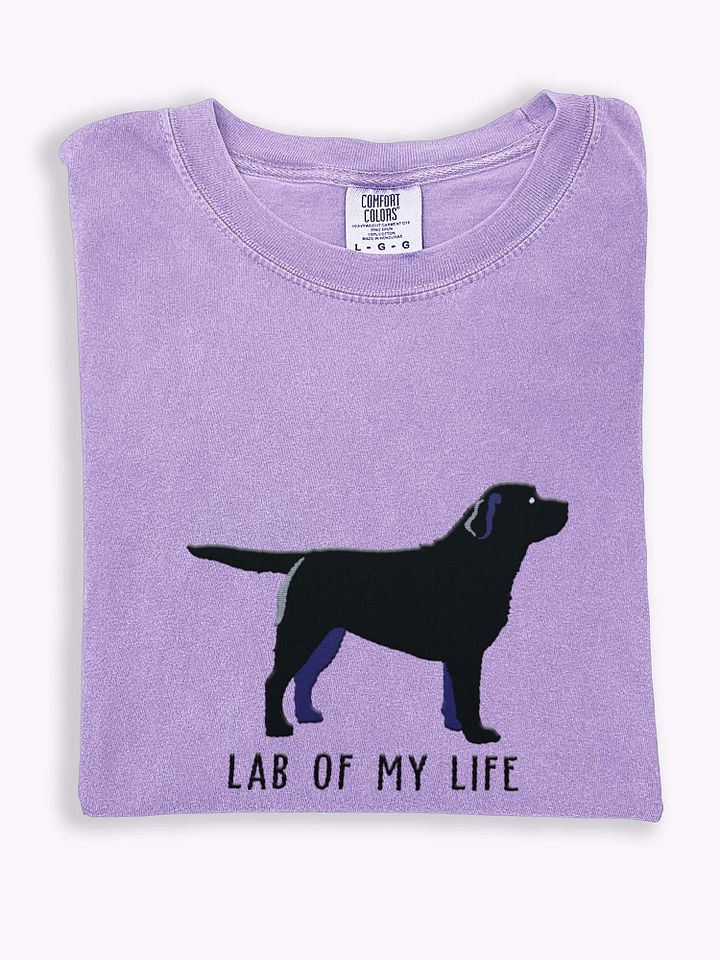 Lab of My Life T-Shirt(Embroidered) of a Labrador Retriever(Black) product image (1)
