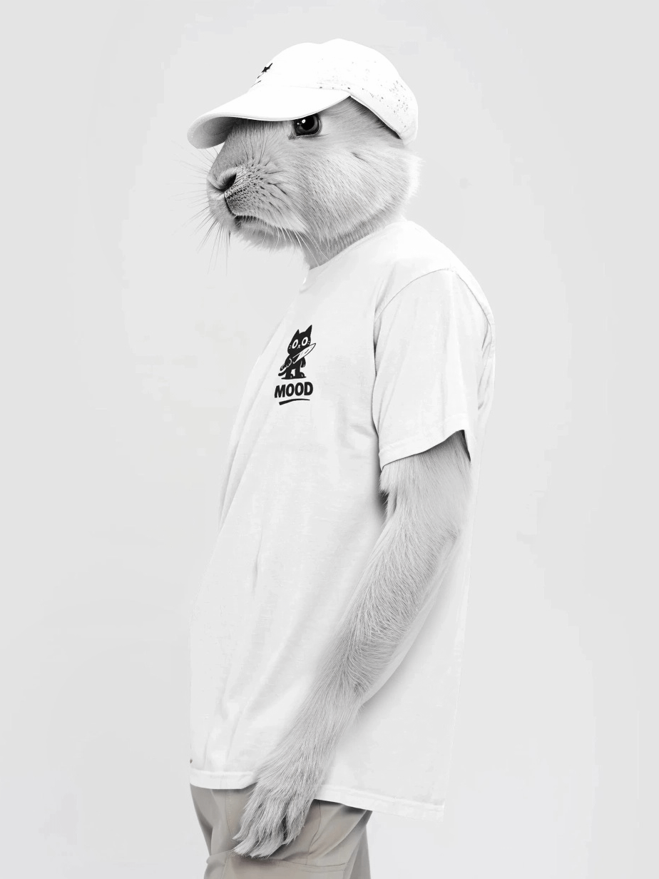 Mood T-Shirt product image (1)