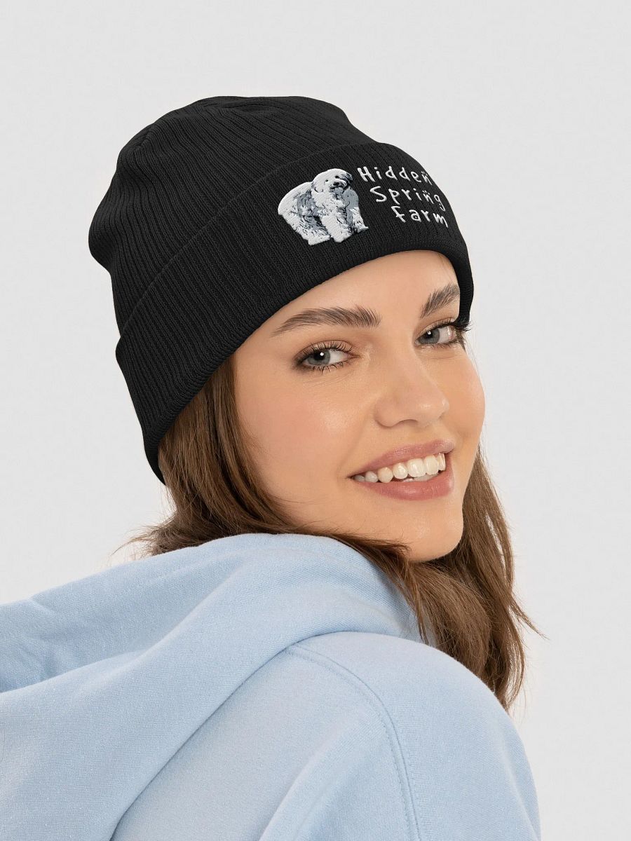 HSF Beanie product image (7)
