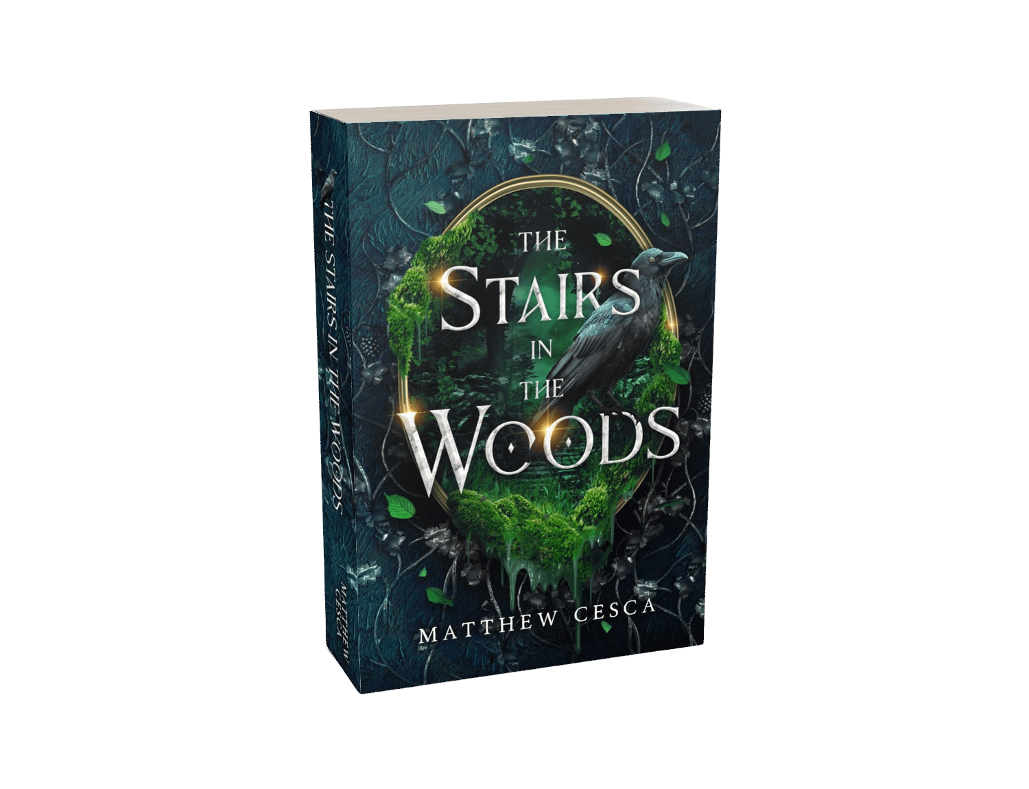 Signed Copy of The Stairs in the Woods Paperback product image (1)