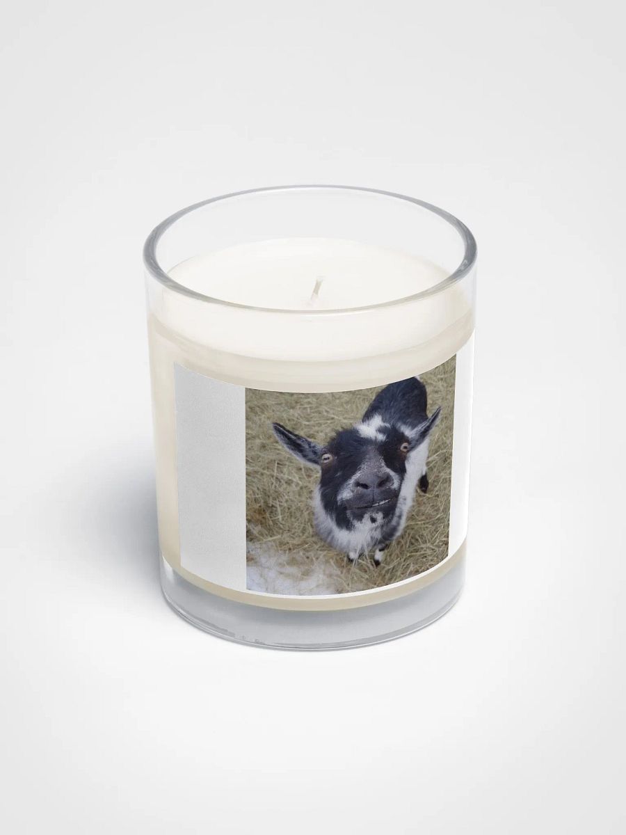 Cute Jeremy goat candle product image (2)