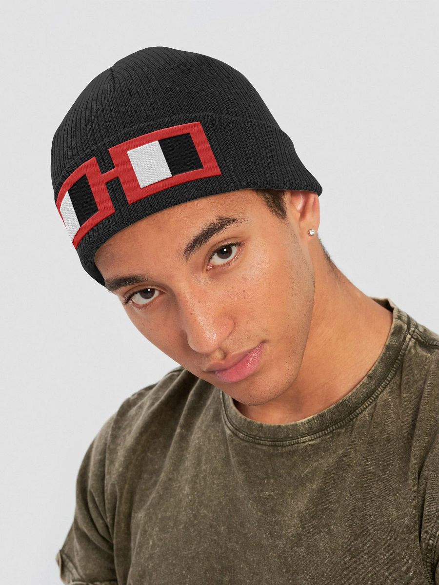 Noggles Beanie product image (22)