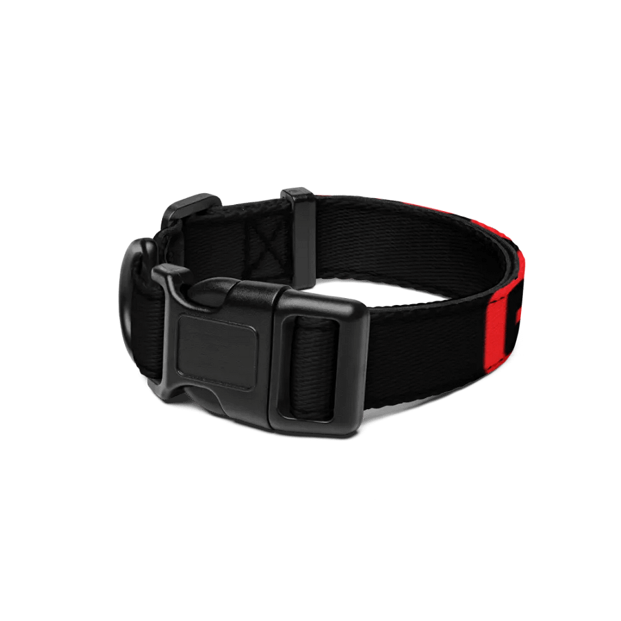 Good Boy Collar product image (1)