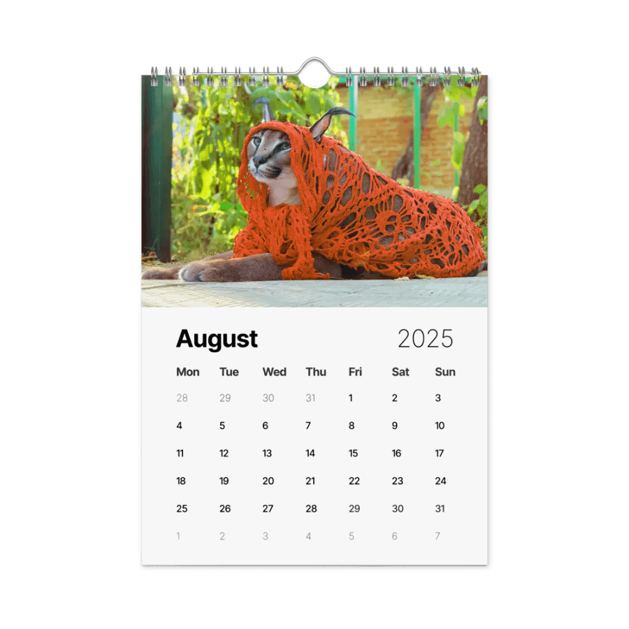 FLOPPA CALENDAR FOR 2025 product image (4)