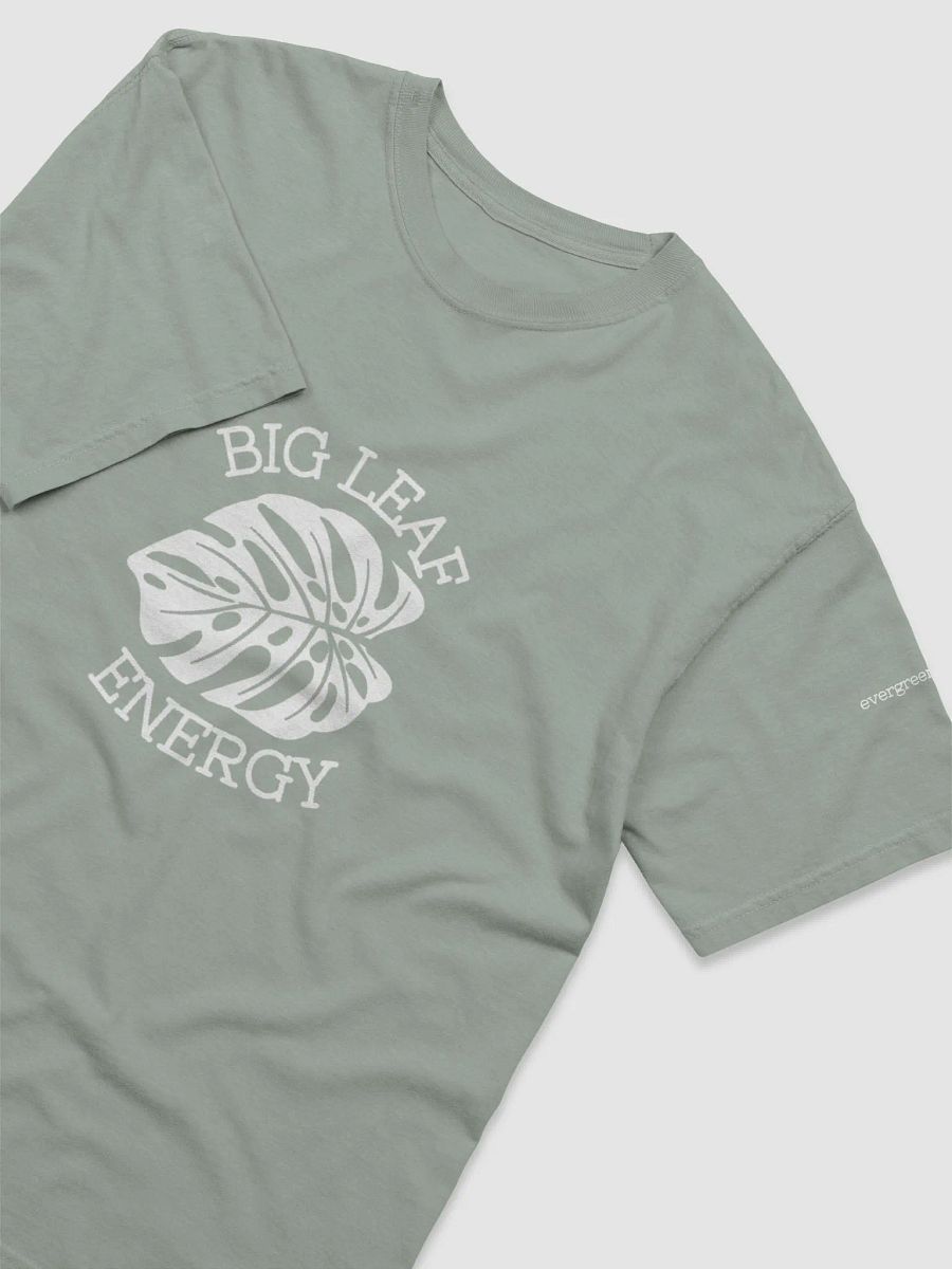 Big Leaf Energy Tee product image (28)