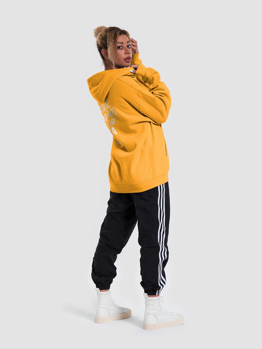 Sudadera Unisex Con Capucha | Por fe andamos no por vista product image (9)