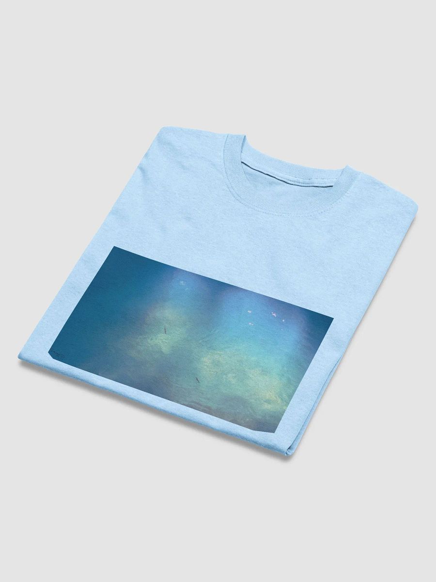 "Light and Shade" by Sage, Heavyweight T-Shirt product image (4)