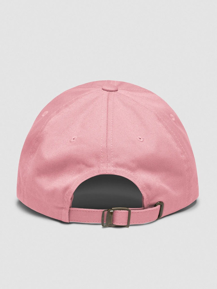 Bad Words Good Habits PASTEL PINK Dad Cap! product image (2)