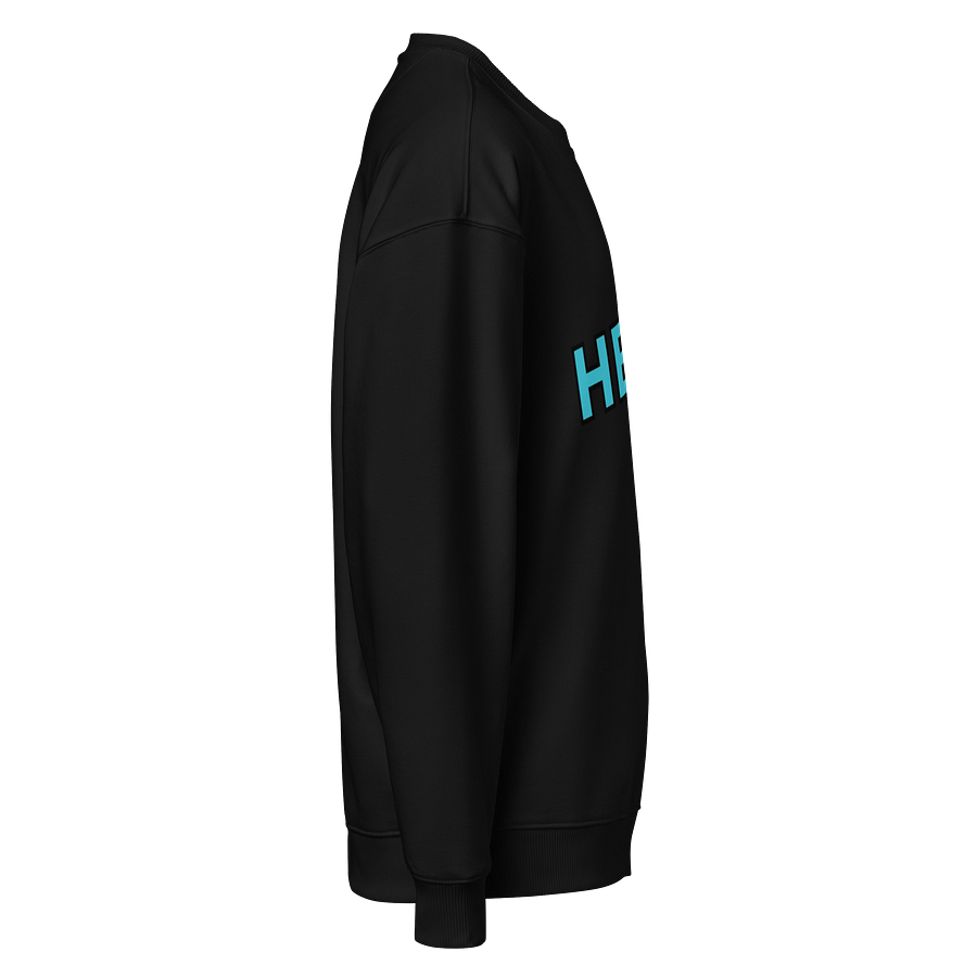 HECK oversized crewneck sweatshirt! product image (6)