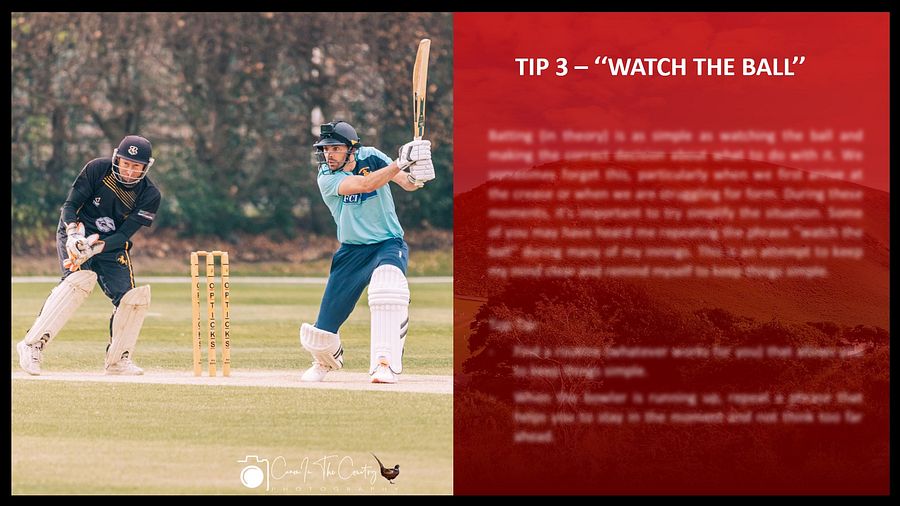 CAN YOU CRICKET TOP TIPS product image (3)