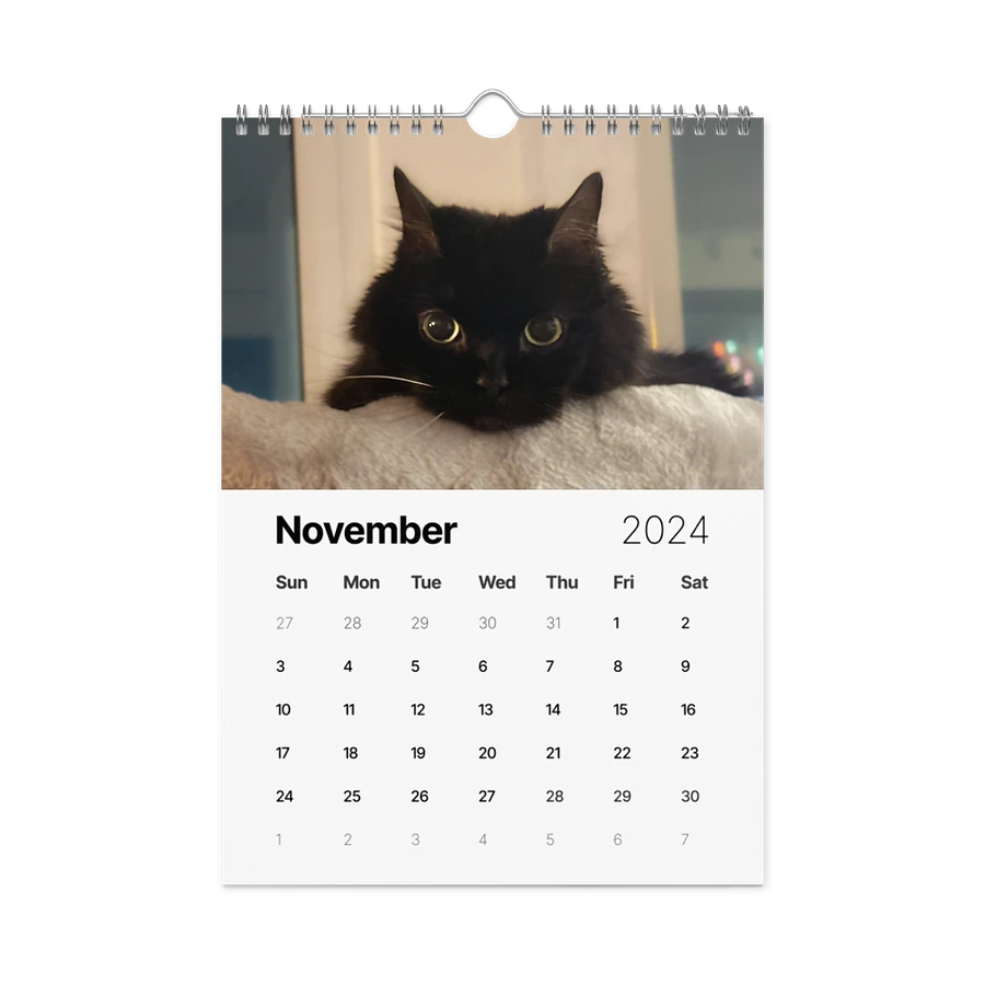 The 2024 ShoKo Cat Calendar product image (15)