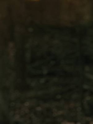 We have several hunts coming up soon. Stay tuned for the new video drops #hunting #fyp  #video 