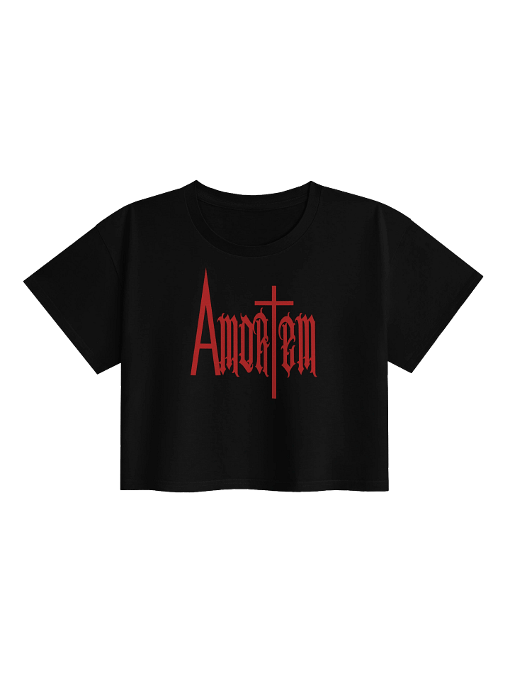 Amortem Crop Top product image (1)
